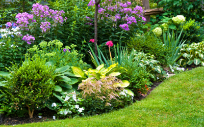 Brighten Your Landscape With Color and Resilience