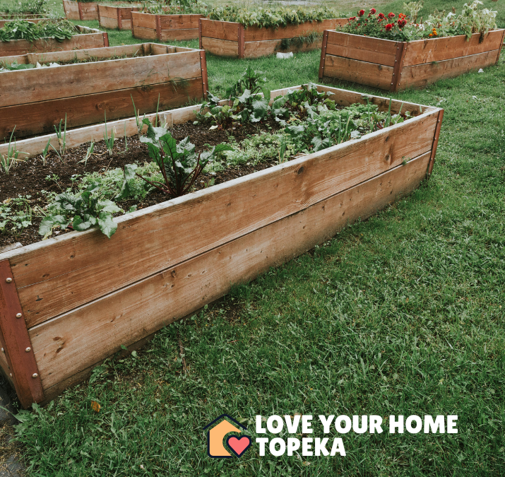 7 Reasons Your Raised Bed Vegetables Are Struggling